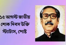 ১৫ আগস্ট জাতীয় শোক দিবস স্ট্যাটাস - শোকাবহ আগস্ট নিয়ে উক্তি