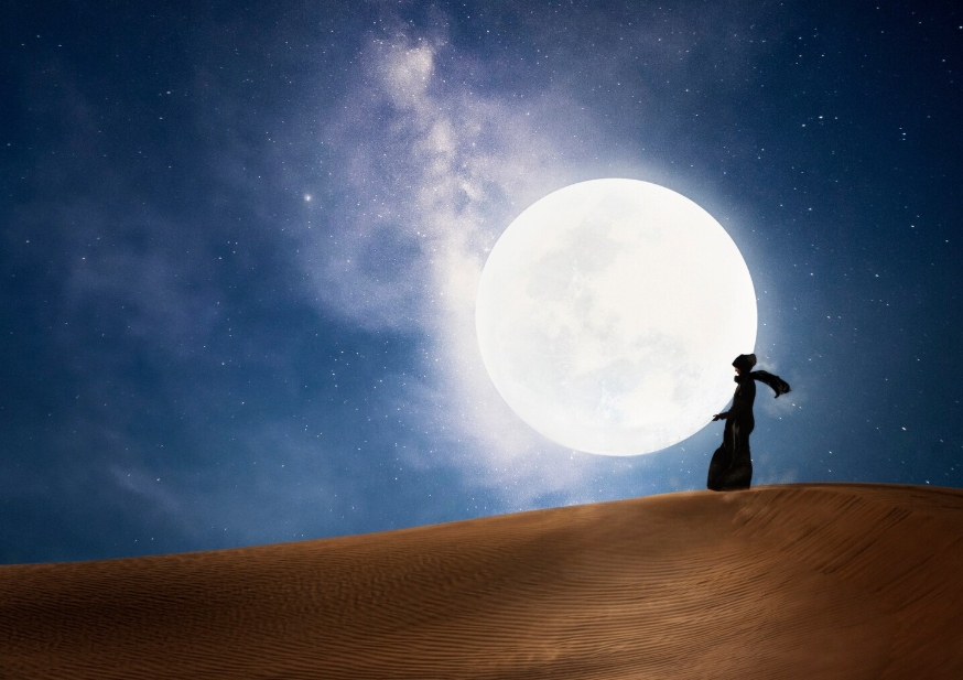 Moonlit Night Paragraph for Class 6