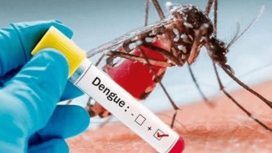 dengue fever paragraph