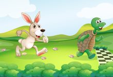 slow and steady wins the race