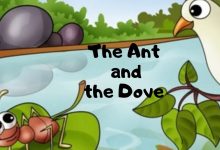 an ant and a dove completing story