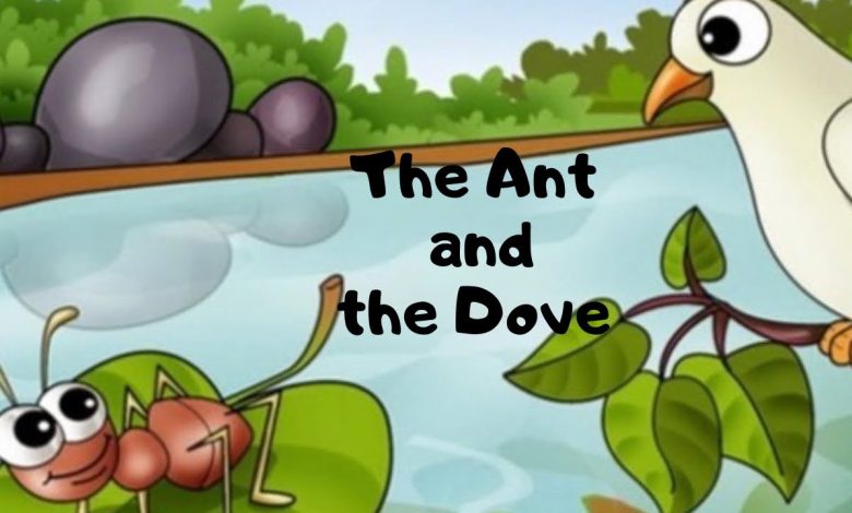an ant and a dove completing story